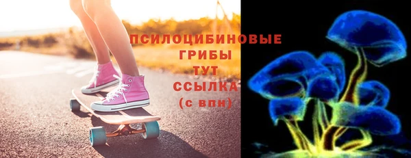 a pvp Бородино