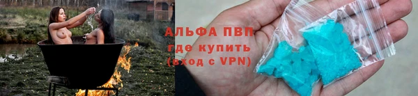 a pvp Бородино