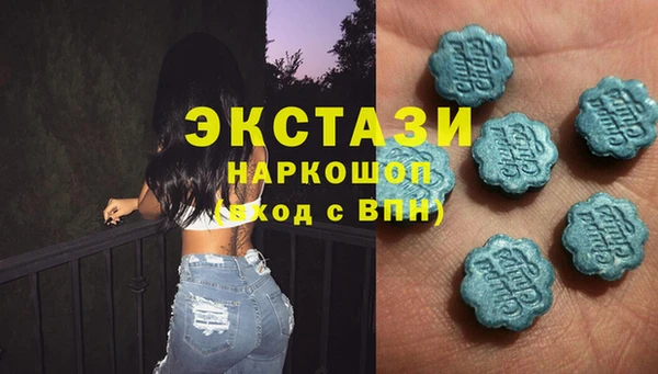 a pvp Бородино