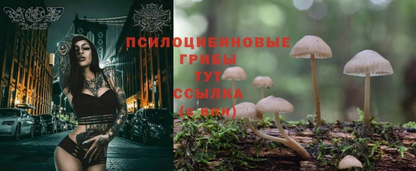 прущая мука Бугульма