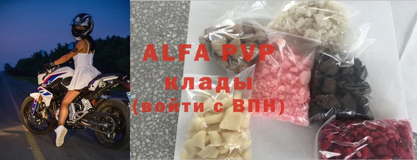 a pvp Бородино