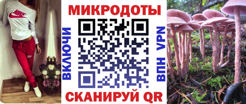 Галлюциногенные грибы Cubensis  Самара 